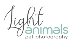 Light Animals