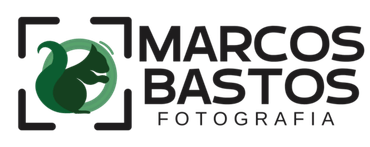 Marcos Ferreira Bastos