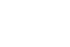 FABI BIRCK