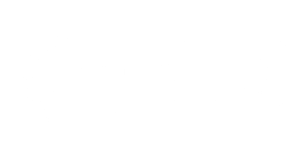 Bruno Ribeiro