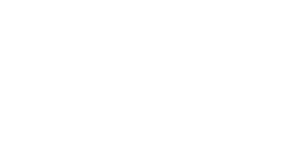 Flavio Luiz Cerqueira Pereira