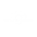 Matheus Cardoso Ribeiro