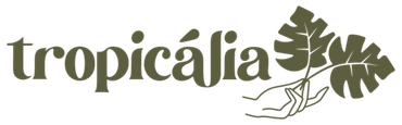 Tropicália Fotografia