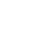 VICENTE BARROS