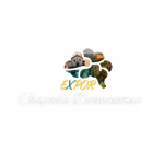 EXPOR CHAPADA DIAMANTINA