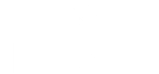 Lhama Estúdio Fotográfico