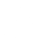 Bruno Ferreira