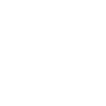 Humberto Varin Junior