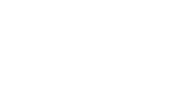 irineu everson munhoz