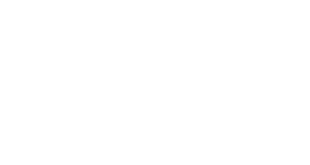 Feliz Para Sempre Fotografia