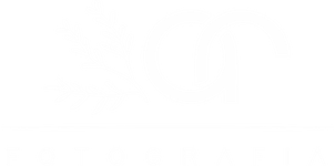 Estúdio AR fotografia
