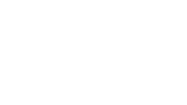 ALDO BERNARDIS