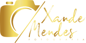 Xande Mendes