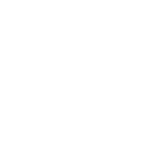 D'oliveiras Fotografia