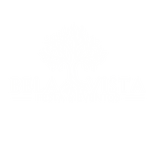 Bela Vista Festas