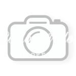 carlos quirino amaro de melo