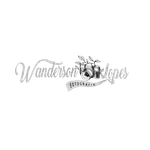 Wanderson Lopes 
