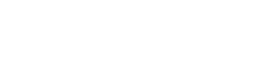 ALEXANDRE ALVES TORRES