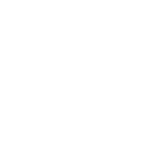 WESLEY MÁGNO DE ASSIS