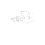Mariana Pizzo Fotografia