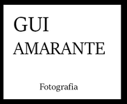 Guilherme Amarante Galves