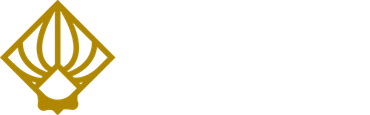 Diogo Henrique da Silva Vieira