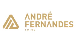 André Fernandes
