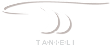 TANIELI DINIZ 