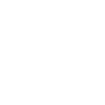 Levi Lyra