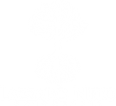 Lazzaro Neto Fotografia