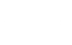 Raul Faria Photography