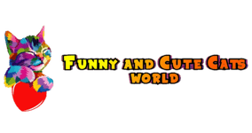 Funny and Cute Cats World