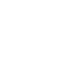 Camilla Ferreira de Lima Sanhaço