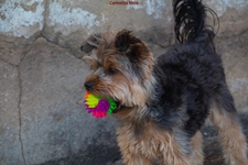 Carmelita Maria Soares De Melo
