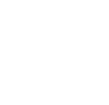 Reyner Araujo