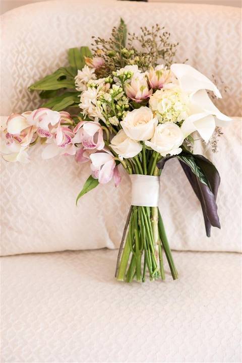 Buque we do botanica'