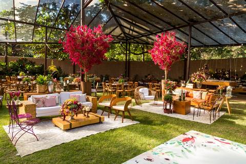 Árvores de Bouganville
Insólito Búzios'