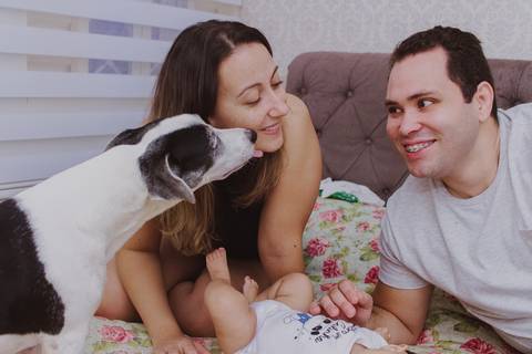 lambida de cachorro em ensaio de família em casa em ribeirão preto'