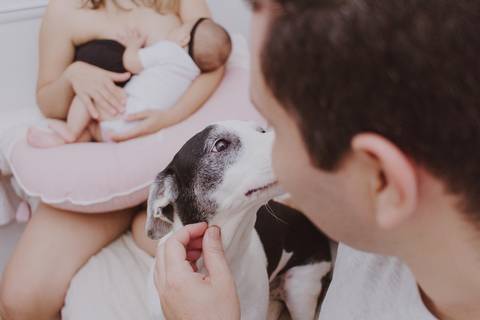 amamentação em família'