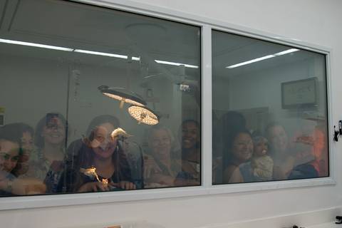 Fotografia documental de parto / Fotografia de parto - Chegou o grande dia. A emoção de todos familiares, emoção de ser tia, emoção de ser avó pela primeira vez...assistindo a chegada de um bebe e os primeiros minutos de vida do bebe'