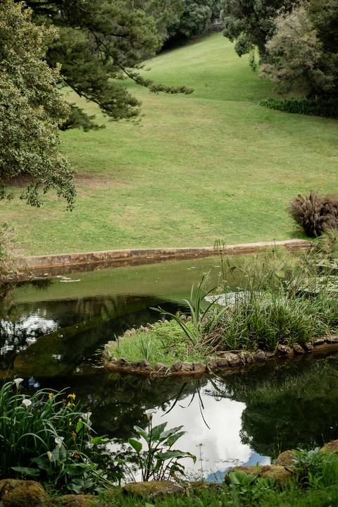 Quiet lake and ferns in the gardens of Palácio de Monserrate, Sintra'