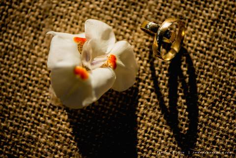 andressa justiniano make, penteado de noiva, dia da noiva, casamento de dia, jardim das orquideas, buquet cacho de uva, maquiagem para noiva, terno azul para noivo, madrinhas em tons pasteis, vestido de madrinha claros,  sapato noivo, padrinhos alegres'