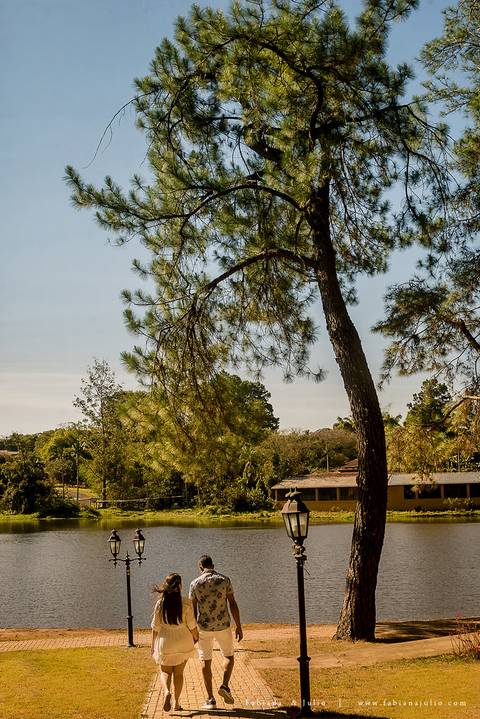 holambra, ensaio de casal, theos turismo, ensaio de casal, fotografo em holambra, girassl, ensaio no girassol, ensaio com flores, ensaio no por do sol, fabiana e julio, casamento, pre-wedding em holambra'
