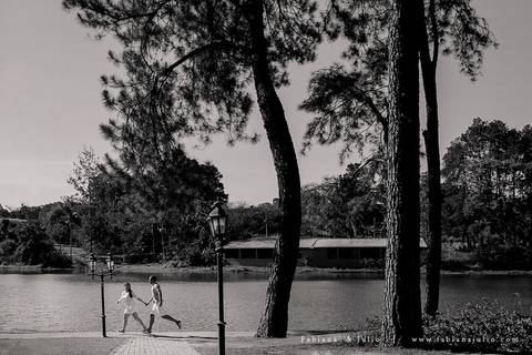 holambra, ensaio de casal, theos turismo, ensaio de casal, fotografo em holambra, girassl, ensaio no girassol, ensaio com flores, ensaio no por do sol, fabiana e julio, casamento, pre-wedding em holambraholambra, ensaio de casal, theos turismo, ensaio de '