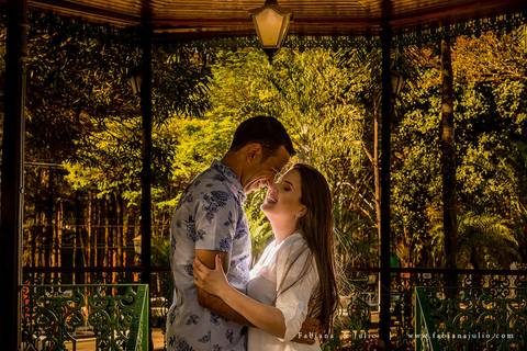 holambra, ensaio de casal, theos turismo, ensaio de casal, fotografo em holambra, girassl, ensaio no girassol, ensaio com flores, ensaio no por do sol, fabiana e julio, casamento, pre-wedding em holambra'