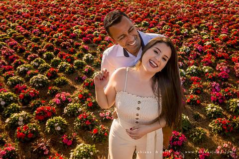 holambra, ensaio de casal, theos turismo, ensaio de casal, fotografo em holambra, girassl, ensaio no girassol, ensaio com flores, ensaio no por do sol, fabiana e julio, casamento, pre-wedding em holambra'
