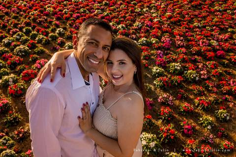 holambra, ensaio de casal, theos turismo, ensaio de casal, fotografo em holambra, girassl, ensaio no girassol, ensaio com flores, ensaio no por do sol, fabiana e julio, casamento, pre-wedding em holambra'