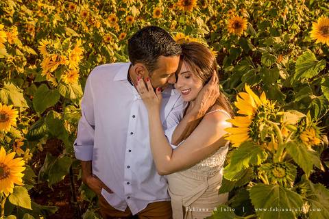 holambra, ensaio de casal, theos turismo, ensaio de casal, fotografo em holambra, girassl, ensaio no girassol, ensaio com flores, ensaio no por do sol, fabiana e julio, casamento, pre-wedding em holambra'