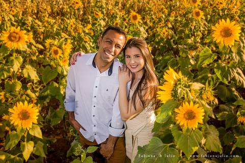 holambra, ensaio de casal, theos turismo, ensaio de casal, fotografo em holambra, girassl, ensaio no girassol, ensaio com flores, ensaio no por do sol, fabiana e julio, casamento, pre-wedding em holambra'