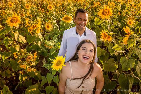 holambra, ensaio de casal, theos turismo, ensaio de casal, fotografo em holambra, girassl, ensaio no girassol, ensaio com flores, ensaio no por do sol, fabiana e julio, casamento, pre-wedding em holambra'